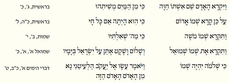 התאמת שם לפירוש